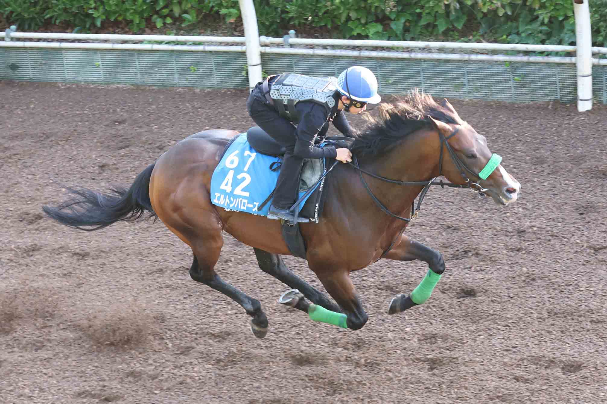皐月賞結果＆コメント】ロブチェンが逃げ切り2度目のGⅠ制覇 松山弘平